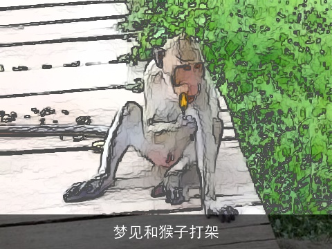 梦见和猴子打架