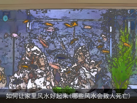 如何让家里风水好起来(哪些风水会致人死亡)