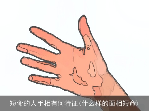 短命的人手相有何特征(什么样的面相短命)