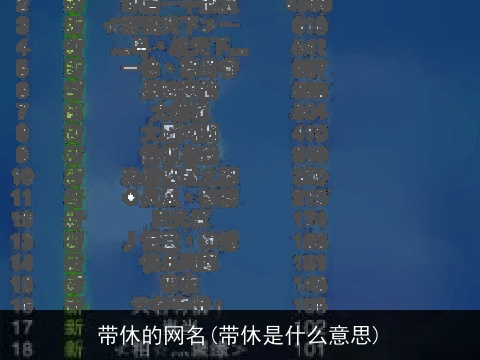 带休的网名(带休是什么意思)