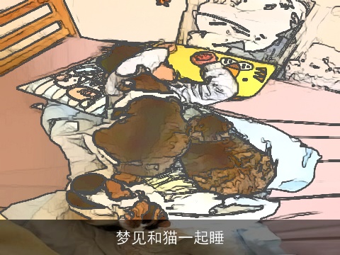 梦见和猫一起睡