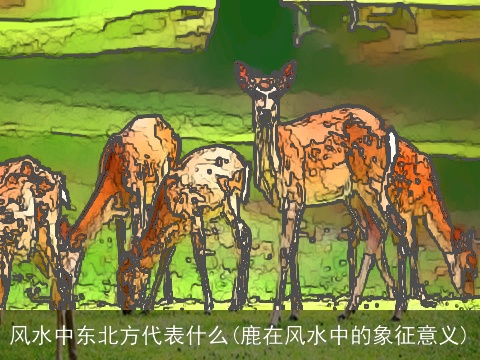 风水中东北方代表什么(鹿在风水中的象征意义)