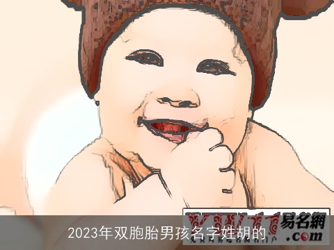 2023年双胞胎男孩名字姓胡的