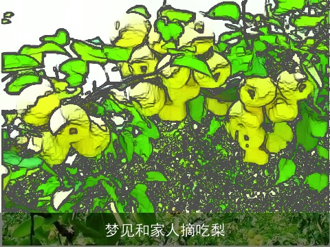 梦见和家人摘吃梨