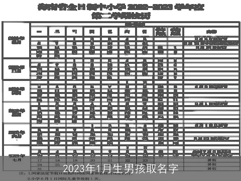 2023年1月生男孩取名字