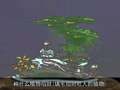 种什么植物招财(镇宅招财旺人的植物)