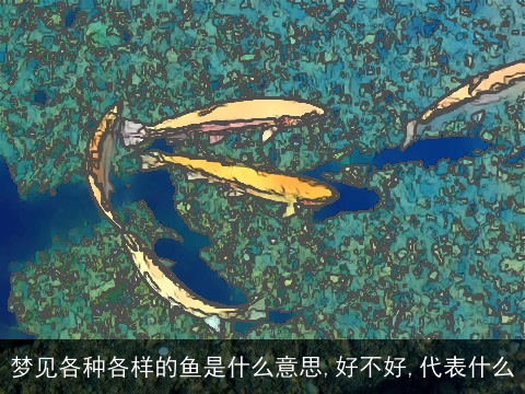梦见各种各样的鱼是什么意思,好不好,代表什么
