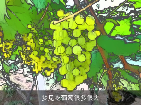 梦见吃葡萄很多很大