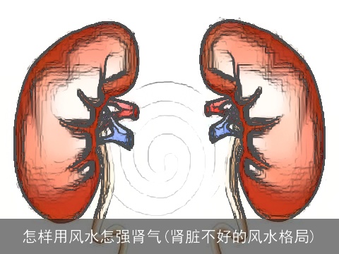 怎样用风水怎强肾气(肾脏不好的风水格局)
