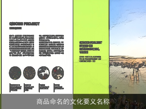 商品命名的文化要义名称