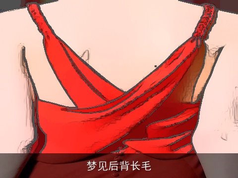 梦见后背长毛