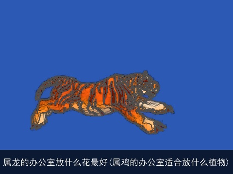 属龙的办公室放什么花最好(属鸡的办公室适合放什么植物)