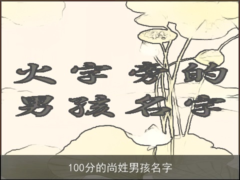 100分的尚姓男孩名字