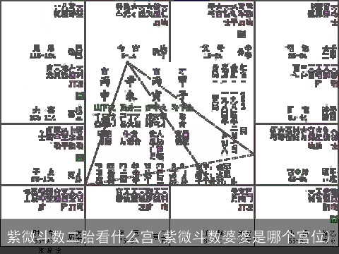 紫微斗数二胎看什么宫(紫微斗数婆婆是哪个宫位)