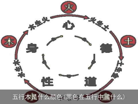 五行木是什么颜色(黑色在五行中属什么)
