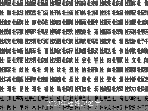 2023年杜姓起名字