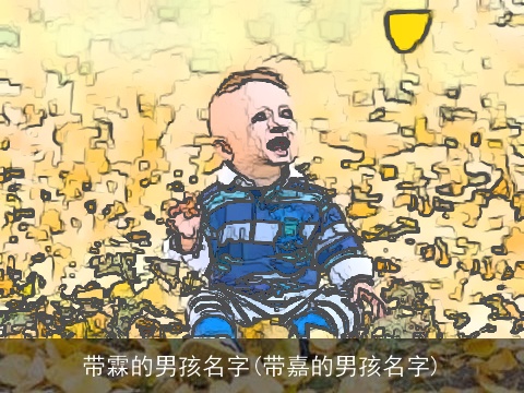 带霖的男孩名字(带嘉的男孩名字)