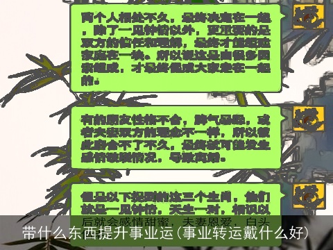 带什么东西提升事业运(事业转运戴什么好)