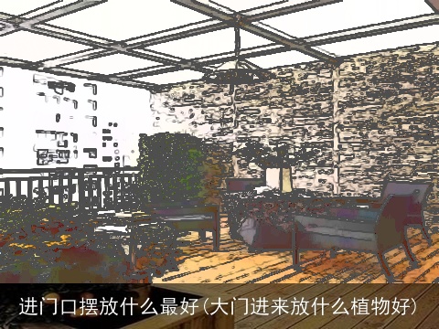 进门口摆放什么最好(大门进来放什么植物好)
