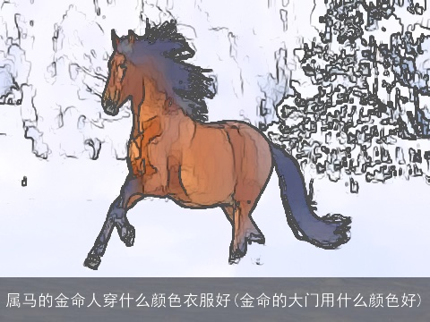 属马的金命人穿什么颜色衣服好(金命的大门用什么颜色好)