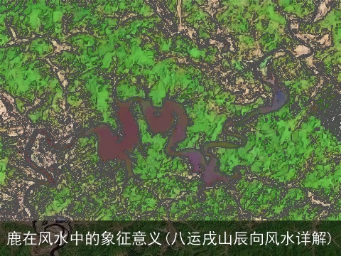 鹿在风水中的象征意义(八运戌山辰向风水详解)