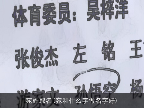 宛姓取名(宛和什么字做名字好)