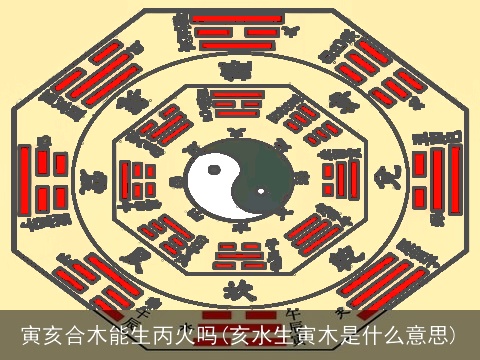 寅亥合木能生丙火吗(亥水生寅木是什么意思)