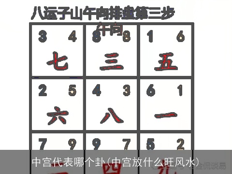 中宫代表哪个卦(中宫放什么旺风水)