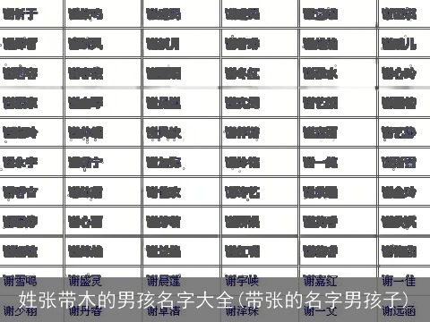 姓张带木的男孩名字大全(带张的名字男孩子)