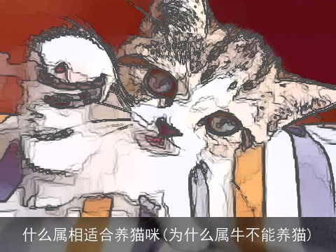 什么属相适合养猫咪(为什么属牛不能养猫)