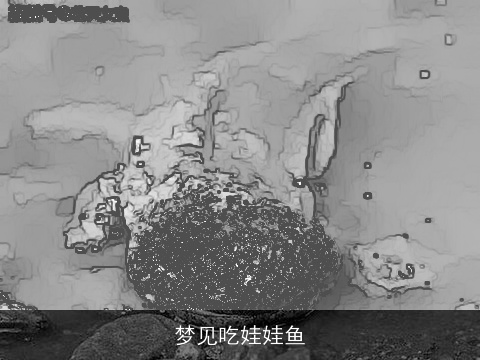 梦见吃娃娃鱼