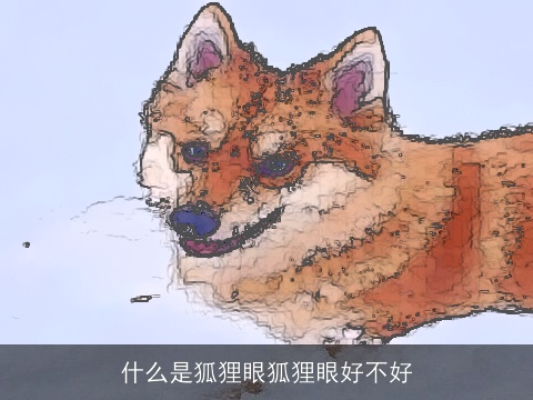 什么是狐狸眼狐狸眼好不好