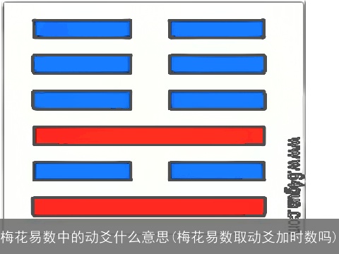 梅花易数中的动爻什么意思(梅花易数取动爻加时数吗)