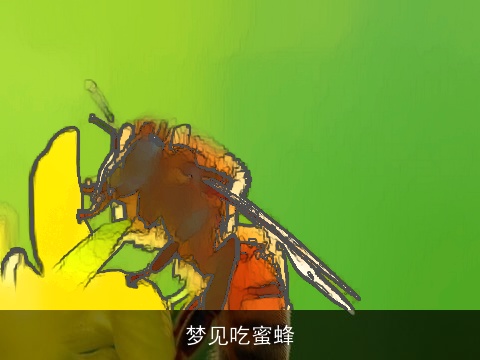 梦见吃蜜蜂