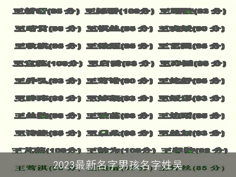 2023最新名字男孩名字姓吴