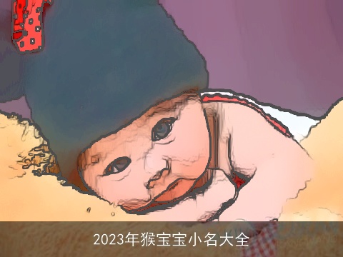 2023年猴宝宝小名大全
