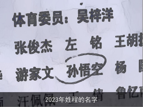 2023年姓程的名字