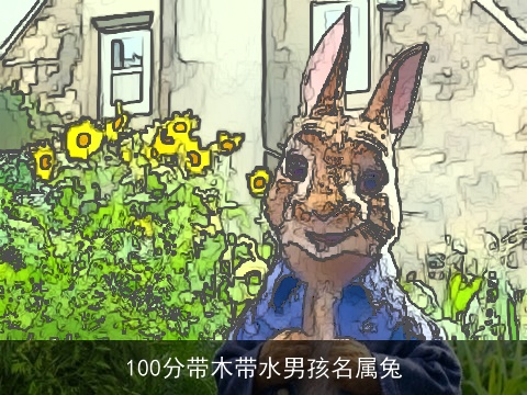 100分带木带水男孩名属兔