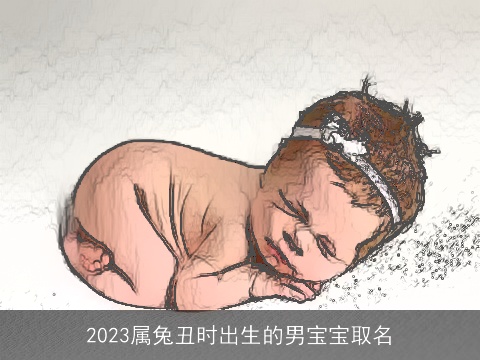 2023属兔丑时出生的男宝宝取名