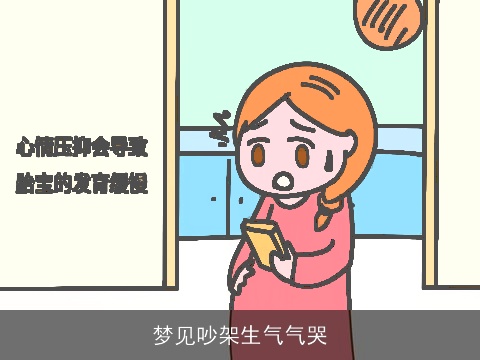 梦见吵架生气气哭