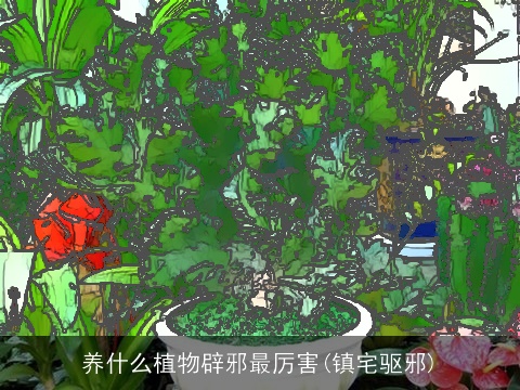 养什么植物辟邪最厉害(镇宅驱邪)