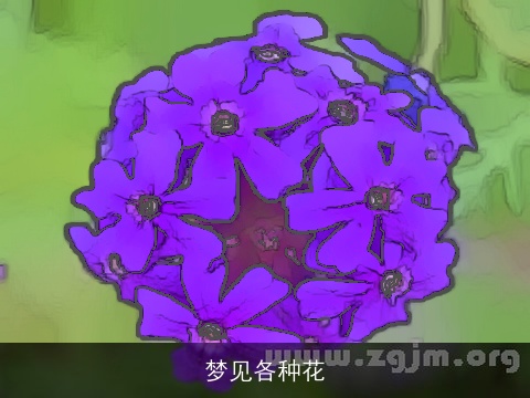 梦见各种花