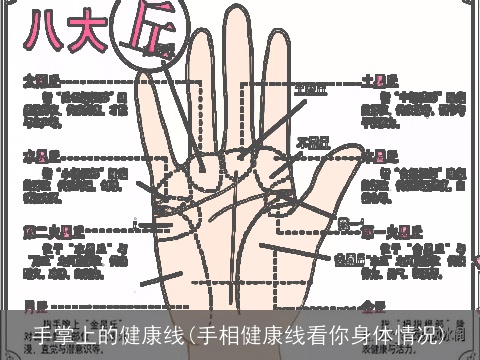 手掌上的健康线(手相健康线看你身体情况)