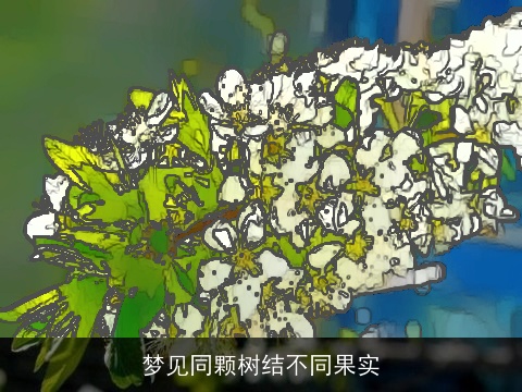 梦见同颗树结不同果实