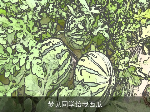 梦见同学给我西瓜