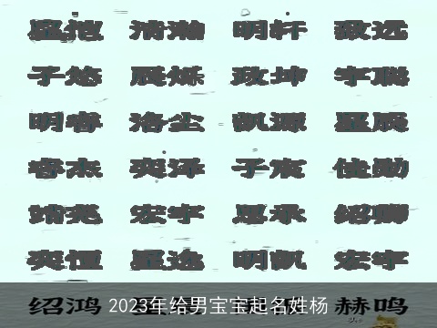 2023年给男宝宝起名姓杨