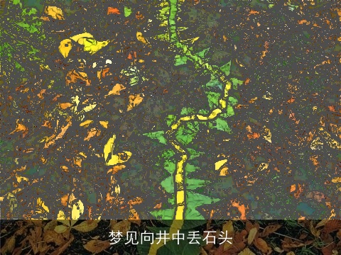 梦见向井中丢石头