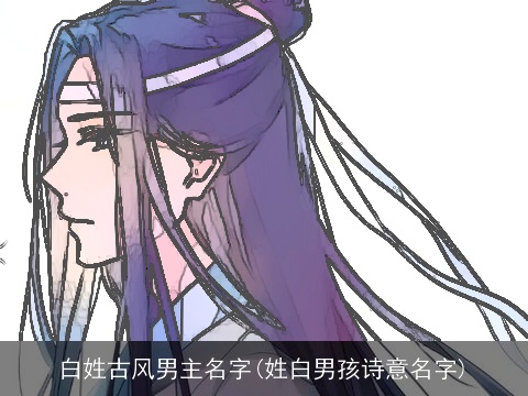 白姓古风男主名字(姓白男孩诗意名字)
