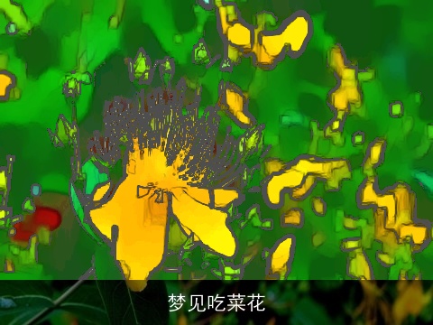 梦见吃菜花