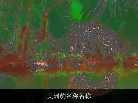 美洲豹名称名称
